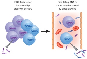 Cell-Free Circulating Tumor DNA pic